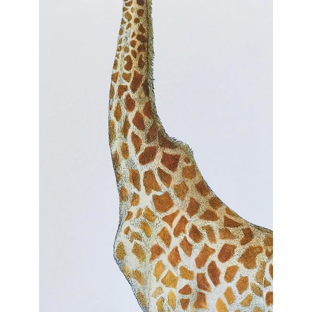 1990s 1990s Fornasetti Framed Lithograph of a Giraffe For Sale - Image 5 of 13