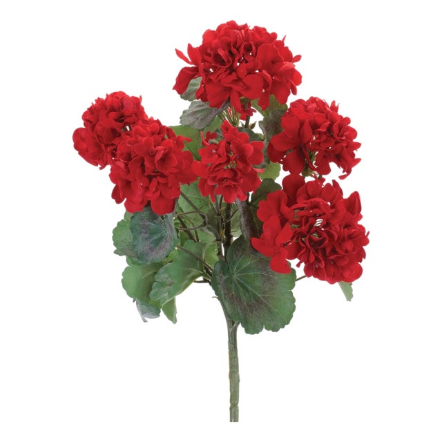 Geranium Floral Bush (Set of 2) For Sale