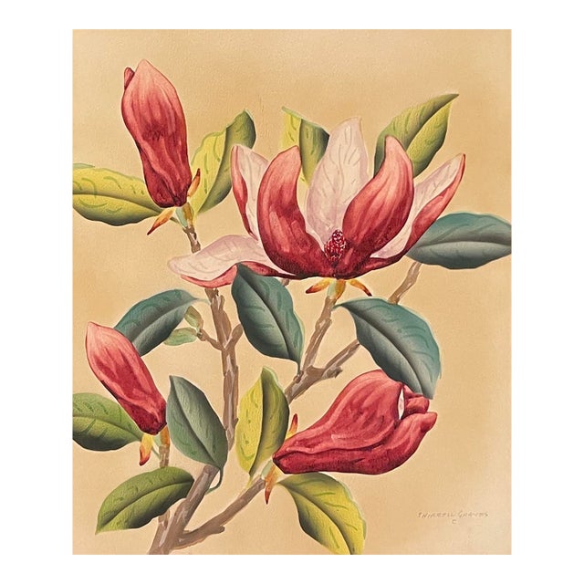 1940s Shirrell Graves Saucer Magnolia Painting For Sale