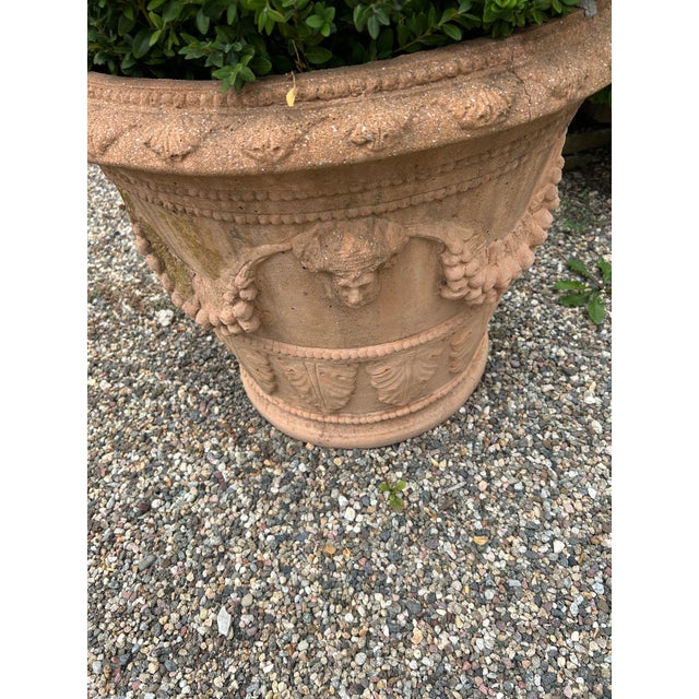 2010s Classic Tuscan Terracotta Planter With Embossed Decoration For Sale - Image 5 of 7