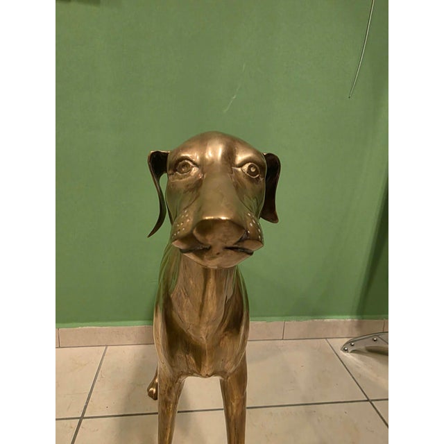 Gold Brass Greyhound Sculpture, 1920s For Sale - Image 8 of 18