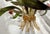Vintage Tole 6-Light Chandelier With Flower Motif and Honest Patina For Sale - Image 12 of 18