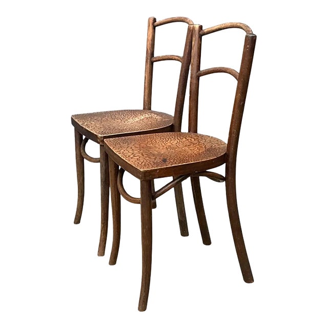 Vintage Carved Crocodile Wood Dining Chairs - A Pair For Sale