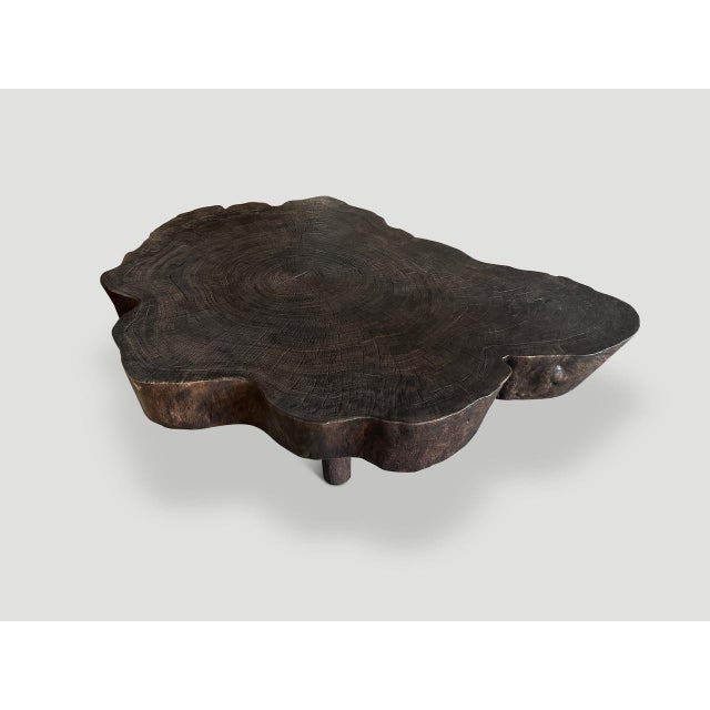 Andrianna Shamaris Amorphous Charred Coffee Table For Sale - Image 17 of 18