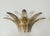 Italian wall light with hand blown clear and smoky Murano glass palmette leaves mounted on gold finish metal frame / Made...