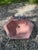 Vintage Kohler K-2930 Hexsign Hexagon Sink in Wild Rose Pink With Original Faucets For Sale In Miami - Image 6 of 14