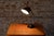 Black Bauhaus Table Lamp by Eric Kirkman Cole, Czech, 1930s For Sale - Image 8 of 11