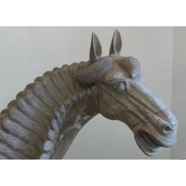 Chinese Han Dynasty Terracotta Horse, China, '206 Bc–220 Ad' For Sale - Image 3 of 13