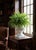 Neoclassical Style Cast Resin Cache Pot With Acanthus Leaf Detail For Sale - Image 9 of 11