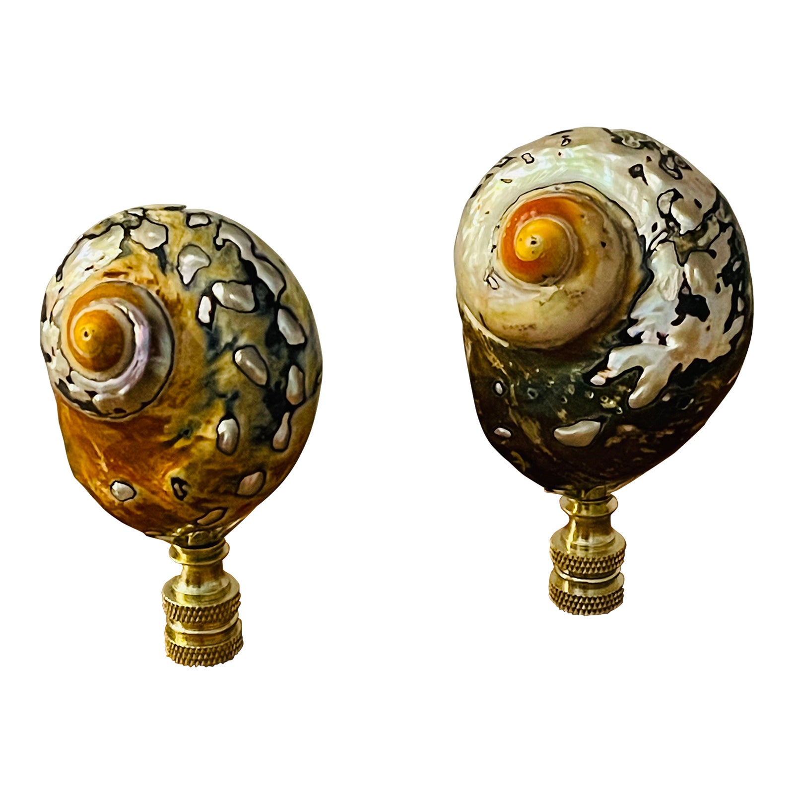 1970s Brown Mither of Pearl Turbo Shells Lamp Finials - a Pair | Chairish