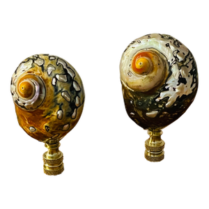 1970s Brown Mither of Pearl Turbo Shells Lamp Finials - a Pair