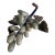Italian Variegated Light Moss Green Bunch of Marble Grapes For Sale