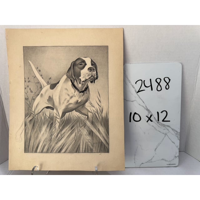 1940s 1940s Original Signed Graphite Illustration of Pointer Hunting Dog, 12 × 10 In. For Sale - Image 5 of 5