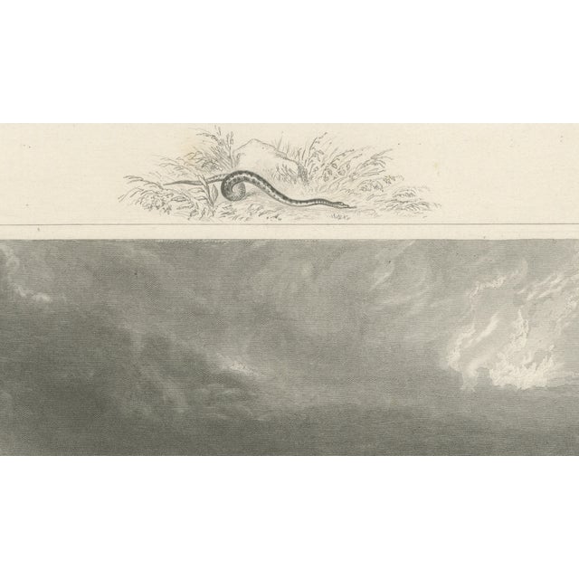 Paper After Thomas Cole, Niagara Falls, 1831, Engraving For Sale - Image 7 of 9