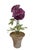 2000 - 2009 Vintage Toleware Purple Ranunculus Topiary Arrangement in Terracotta Pot For Sale - Image 5 of 12