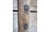 Late 19th Century Late 1900's Swedish Bentwood Dry Measure Pantry Box For Sale - Image 5 of 7