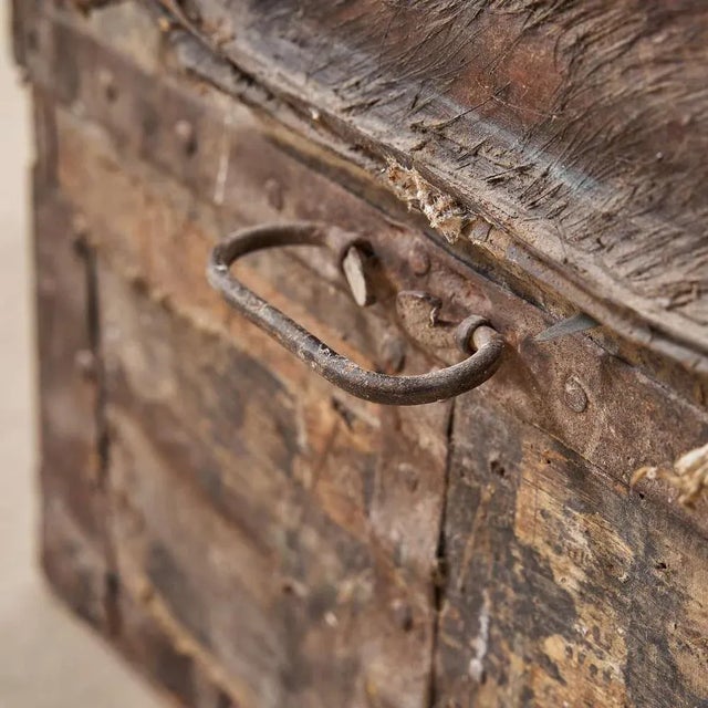 Animal Skin Trunk with Wild Boar Leather For Sale - Image 7 of 10