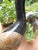 Crane Heron in Marble Mosaic, 1950s For Sale - Image 11 of 17