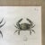 Zoology Crabs 1805-12 - Description De l'Egypte Antique Large Engraved Plate For Sale - Image 11 of 12