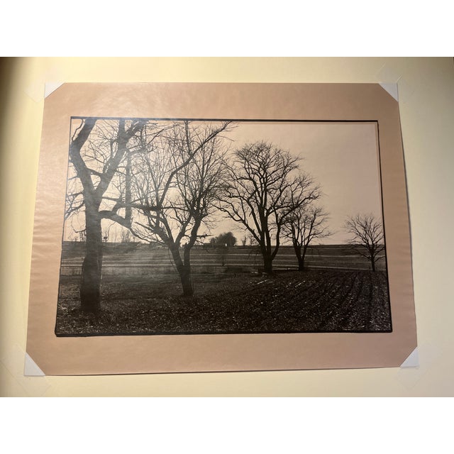 Contemporary Rare 1992 Tony Marshall Fine Art Photo Print Framed & Matted With Glass Signed For Sale - Image 3 of 9