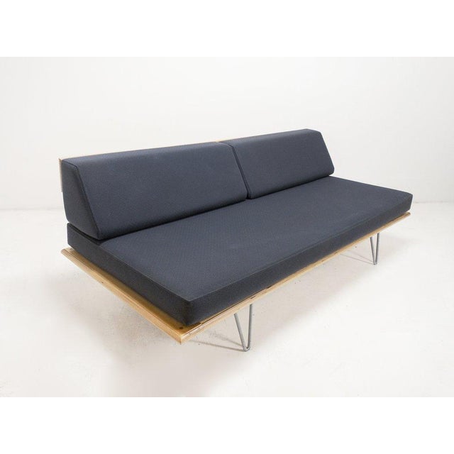 Modernica Gray Daybed Sofa Chairish