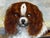British Blenheim and Prince Charles Tricolour Spaniels Victorian Dogs Oil Portrait in a Wooded Country Landscapen in the Manner of John Dalby of York For Sale - Image 6 of 18
