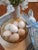 Traditional XL White Alabaster Marble Duck Eggs Easter For Sale - Image 3 of 12