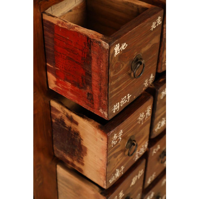 Antique Chinese Elm Wood Apothecary Cabinet With Multiple Drawers For Sale In Philadelphia - Image 6 of 18