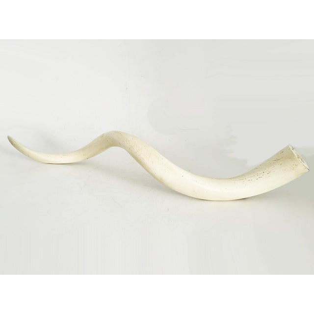 1980s Vintage African Kudu Horn Antler For Sale - Image 5 of 10