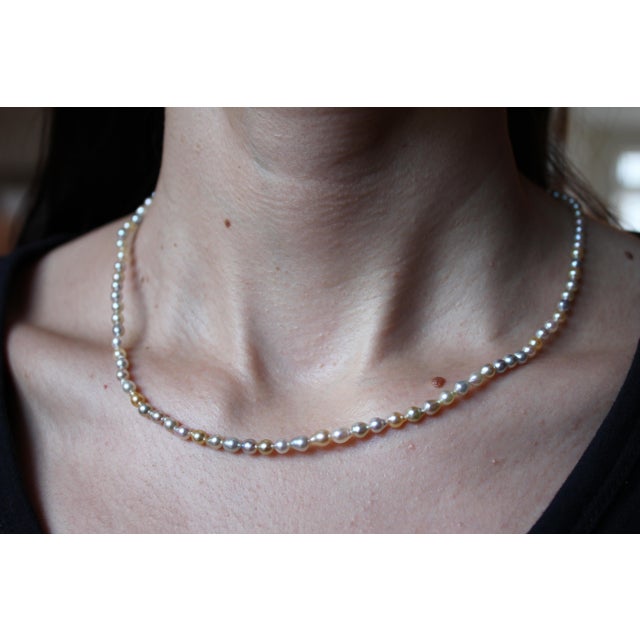 14 Karat Yellow Gold Multicolor Akoya Cultured Pearl Layer Thin Bead Necklace For Sale - Image 10 of 18