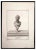 Carlo Nolli, Ancient Roman Bust, Original Etching, 18th Century For Sale