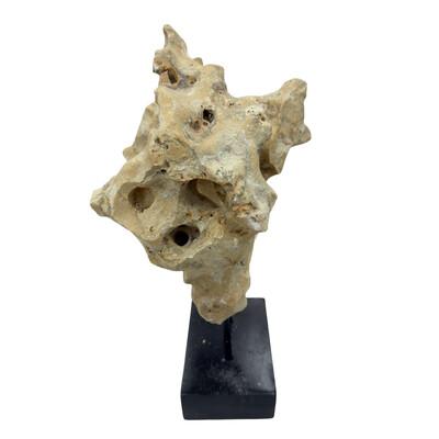 Indonesian Coral Stone On Teak Stand For Sale - Image 4 of 5