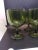 Vintage Bartlett Collins Footed Green Glass Goblets with Thumbprint