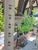 1970s Spanish Revival Wrought Iron Chandelier For Sale - Image 11 of 12
