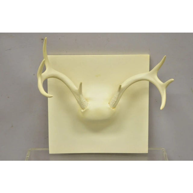 White Early 21st Century Erich Ginder White Cast Ghost Antler Coat Rack Wall Art For Sale - Image 8 of 11