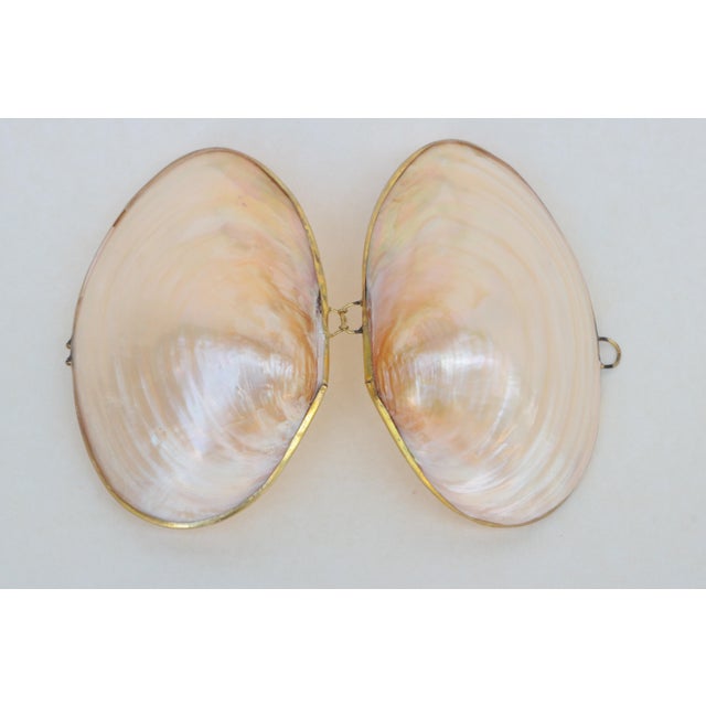 Mother of Pearl Shell Box With Brass Trim For Sale - Image 4 of 6