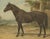 After Otto Eerelman, Australian Horse, 1898, Lithograph on Paper For Sale - Image 3 of 9