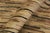 Textile Bohemian Gabbeh Beige/Black Wool Rug - 3'9'' X 5'9'' For Sale - Image 7 of 10