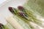 Ceramic Mid-Century Modern Asparagus Serving Dish in French Barbotine Earthenware from Keller & Guérin, 1940s For Sale - Image 7 of 12