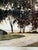 Don Pettigrew Ocean Pond Clubhouse Limited Edition Print, Signed For Sale - Image 9 of 12