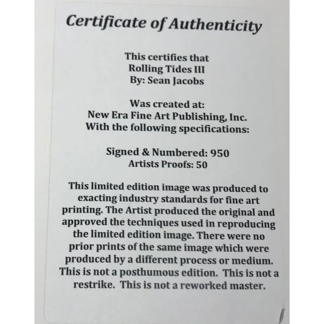 2000 - 2009 Abstract Framed Giclée Print, Signed and Numbered by Sean Jacobs For Sale - Image 5 of 5