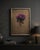 Cyclamen For Sale In New York - Image 6 of 7