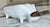 Mid-Century Modern Made in Japan Mid-Century El Toro Coin Bank Bull For Sale - Image 3 of 17