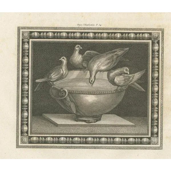 Antique print of birds and a birdbath. Source unknown, to be determined. Published circa 1820.