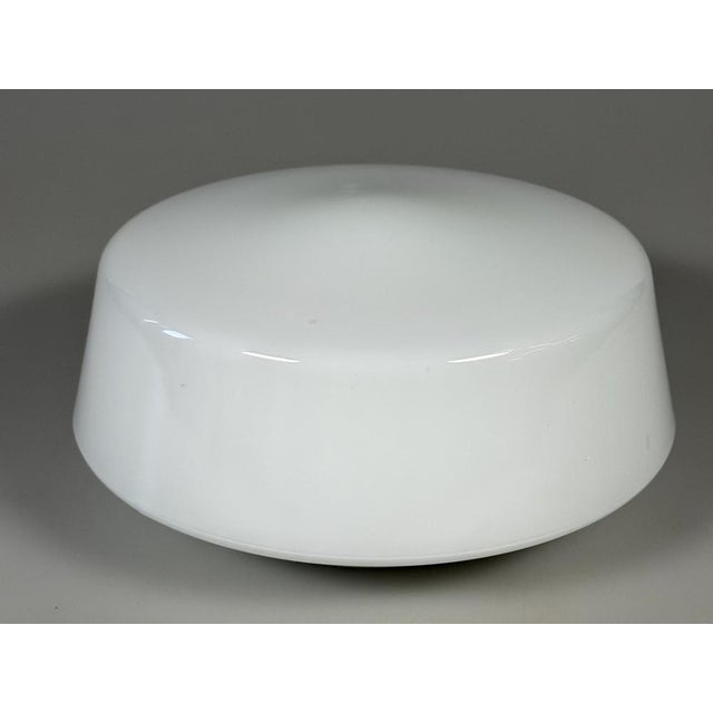 Mid-Century Modern Mid-Century Ceiling Light in Frosted Glass from RZB, 1960s For Sale - Image 3 of 15