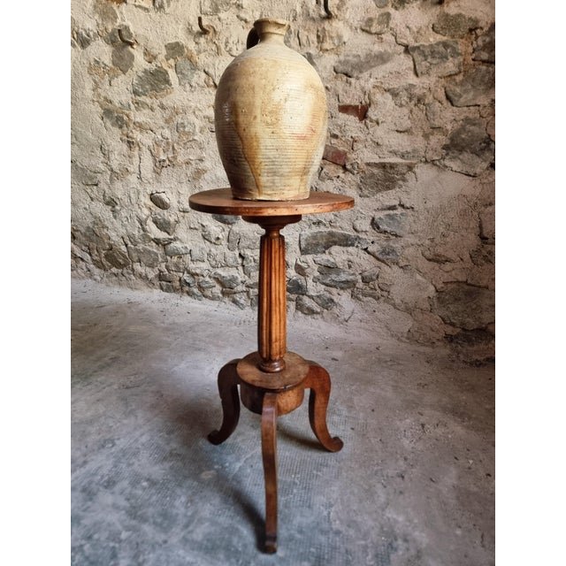Antique Louis XVI Plant Stand in Walnut, 1900 For Sale - Image 17 of 18