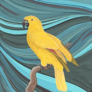 “Gossip Swirl” Yellow Parrot Painting Marbled Art by Allison Cosmos For Sale