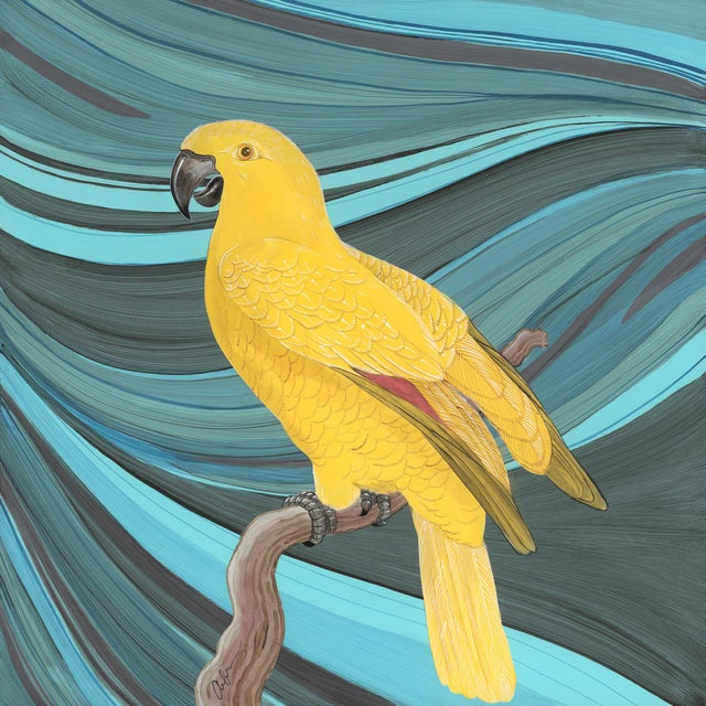 “Gossip Swirl” Yellow Parrot Painting Marbled Art by Allison Cosmos For Sale
