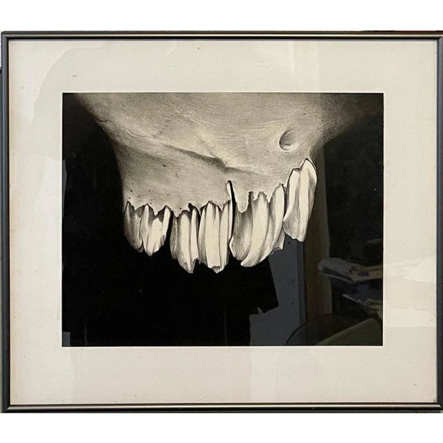 Erica Child Prud’homme, Charcoal Drawing Abstract Teeth Bone Erica Child Prudhomme American Woman Artist, 1994 For Sale In Miami - Image 6 of 6
