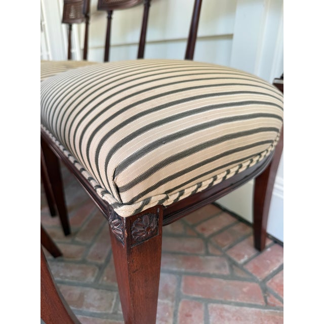 Vintage Cane Back Dining Chairs For Sale In New York - Image 6 of 12